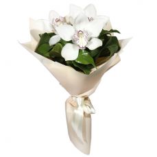 Букет Білі орхидеї